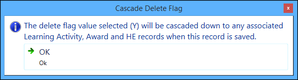 Cascade Delete Flag message