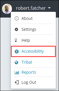 Accessibility option