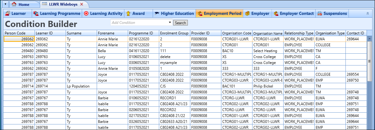 Employment Period tab