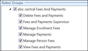 ebs central Fees and Payments roles  and groups