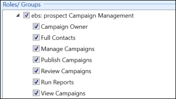 Campaign Management roles and groups