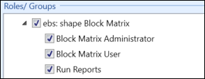 ebs shape block matrix roles and groups