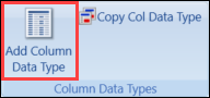 Add Column Data Type button