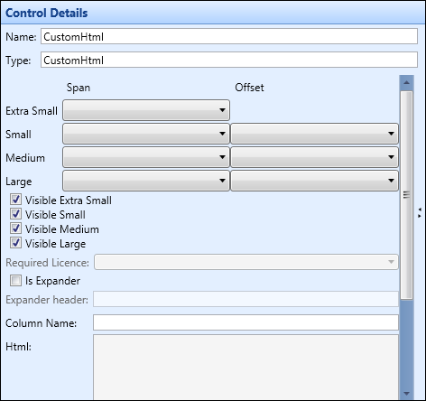 Control Details section - custom HTML control