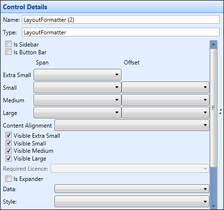 Control Details section - layout formatter