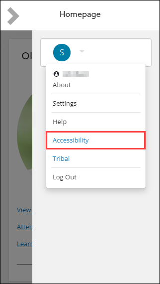 Accessibility option