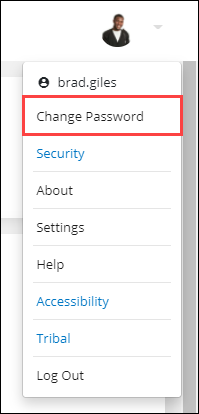 Change Password option