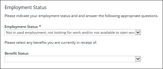 Employment Status section