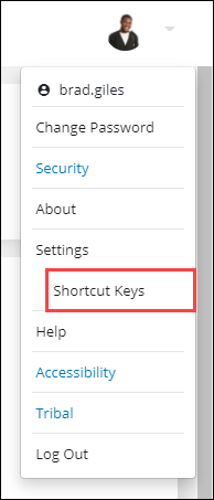 Shortcut Keys option