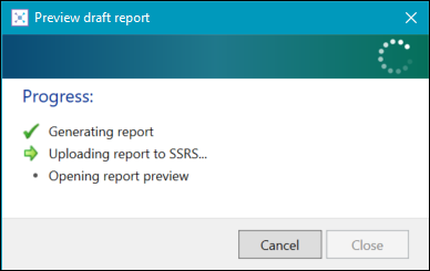 Preview Draft Report window