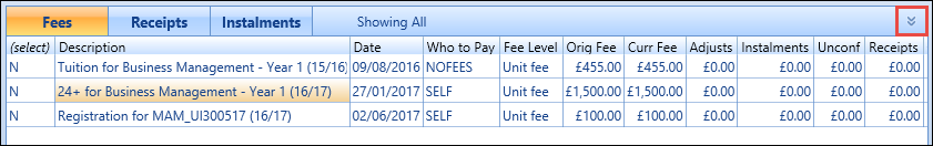 Fees grid - Expand button