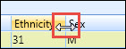 Resize the column in ILR grid