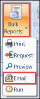 Email Bulk Reports Button