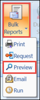 Preview Bulk Reports Button