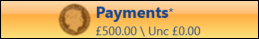 Payments tab with an asterisk