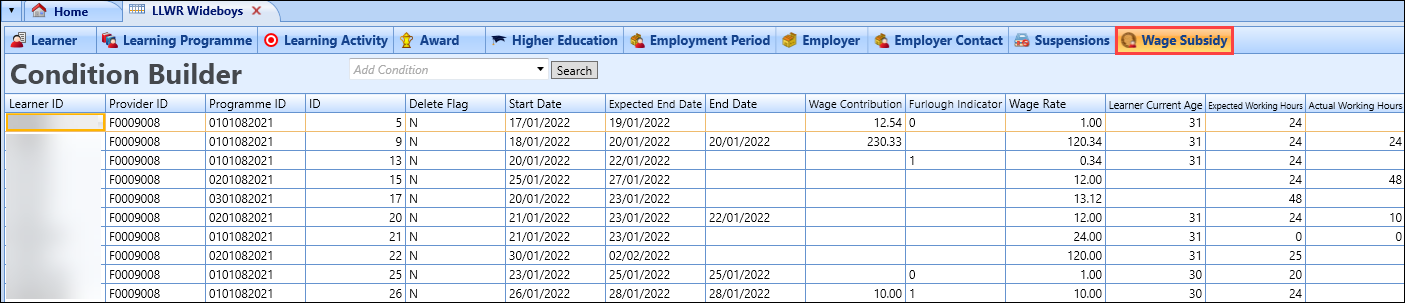 Wage Subsidy tab