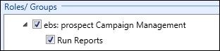 ebs prospect campaign management roles and groups