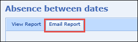 Email Report tab