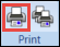 Print button