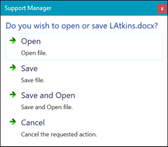 Support Manager window