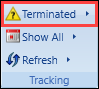 Terminated workflows view