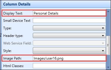 Column Details section - Display Text and Image Path fields