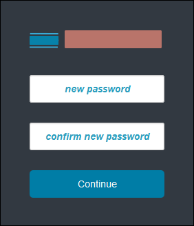 New password fields