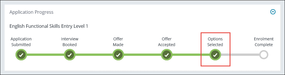 Application Progress section - Options Selected indicator complete