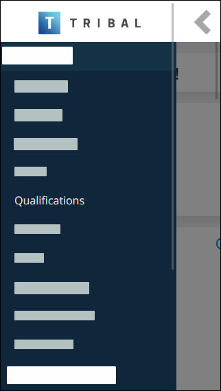 Qualifications option mobile