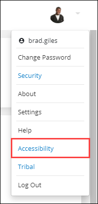 Accessibility option