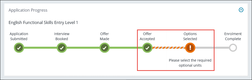 Application Progress section - Offer Accepted and Options Selected indicators