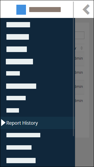 Report History option