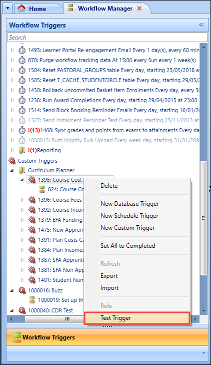 Workflow Triggers Test Trigger option